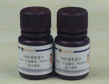 DAB辣根过氧化物酶显色试剂盒P0202/共20ml  P0203/共100ml碧云天