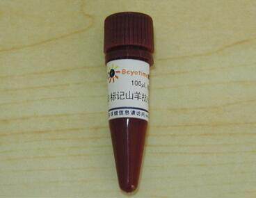 Cy3标记山羊抗大鼠IgG(H+L)   A0507  0.1ml 碧云天生物beyotime