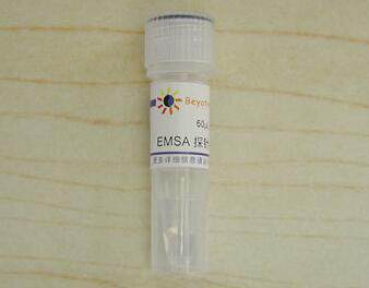EMSA探针－AP2 (10&mu;M)   GS012A  30&mu;l  碧云天生物 beyotime