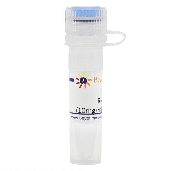 核糖核酸酶A RNase A (10mg/ml, DNase free)  ST576/1ml 碧云天