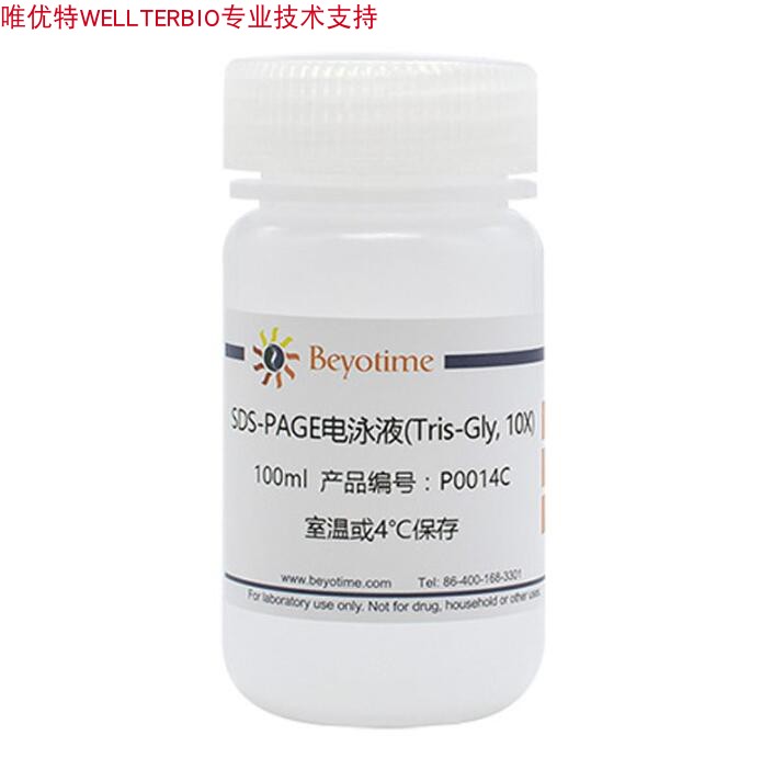 SDS-PAGE电泳液(Tris-Gly, 10X)P0014C/100ml P0014D/500ml碧云天