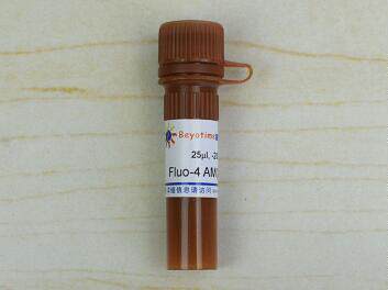 Fluo-4 AM (钙离子荧光探针, 2mM)  S1060  25ul 碧云天 beyotime
