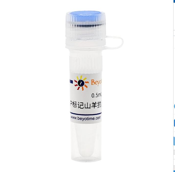 碱性磷酸酯酶标记山羊抗小鼠IgG(H+L)  A0258  0.5ml 碧云天生物