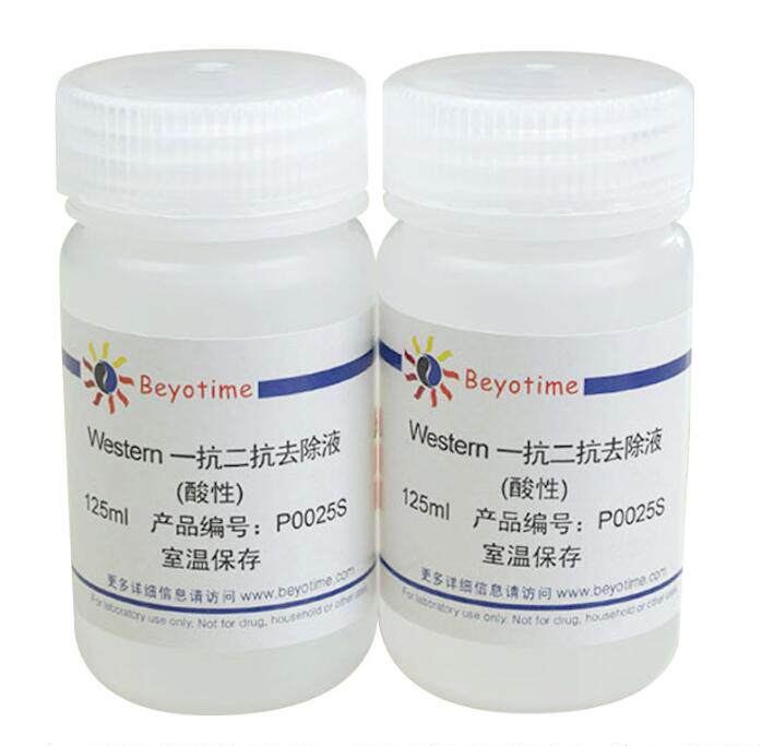Western一抗二抗去除液 (P0025B弱碱性)(P0025N中性)(P0025S酸性)