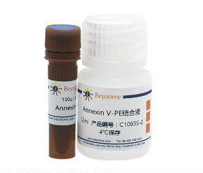 Annexin V-PE细胞凋亡检测试剂盒  C1065S/C1065M/C1065L 碧云天