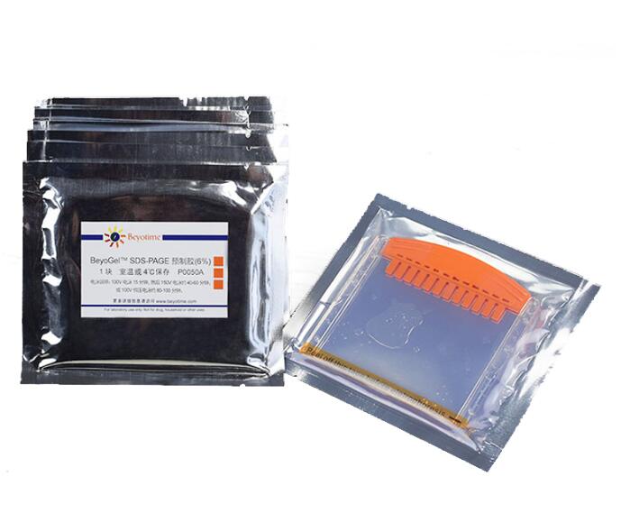 SDS-PAGE预制胶(Tris-Gly,12孔) P0050/P0051/P0052/P0053/P0055