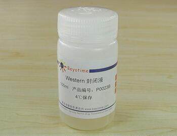 Western封闭液  P0023B-100ml/P0023B-500ml 碧云天生物 beyotime