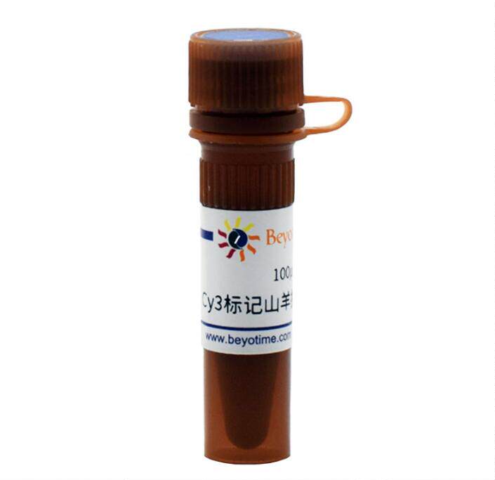Cy3标记山羊抗兔IgG(H+L)   A0516  0.1ml 碧云天生物beyotime