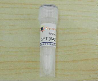 科研专用经典 SMT (iNOS抑制剂) S0008 100mg碧云天生物 beyotime