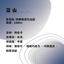 Jamaica Blue Mountain No 2 Coffee boutique hand-brewed single product 120g