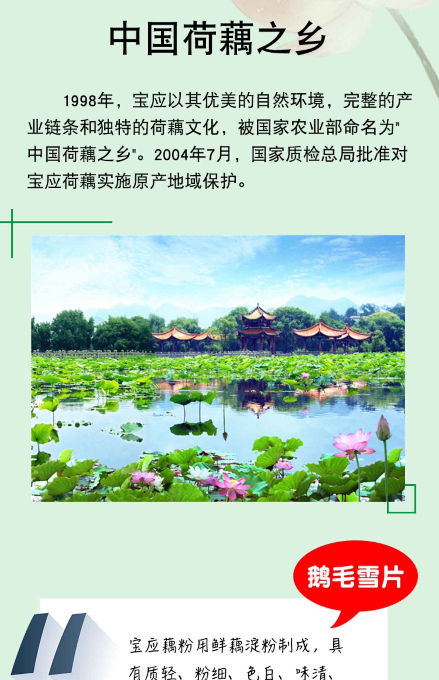 【里下人家】扬州宝应县藕粉250g