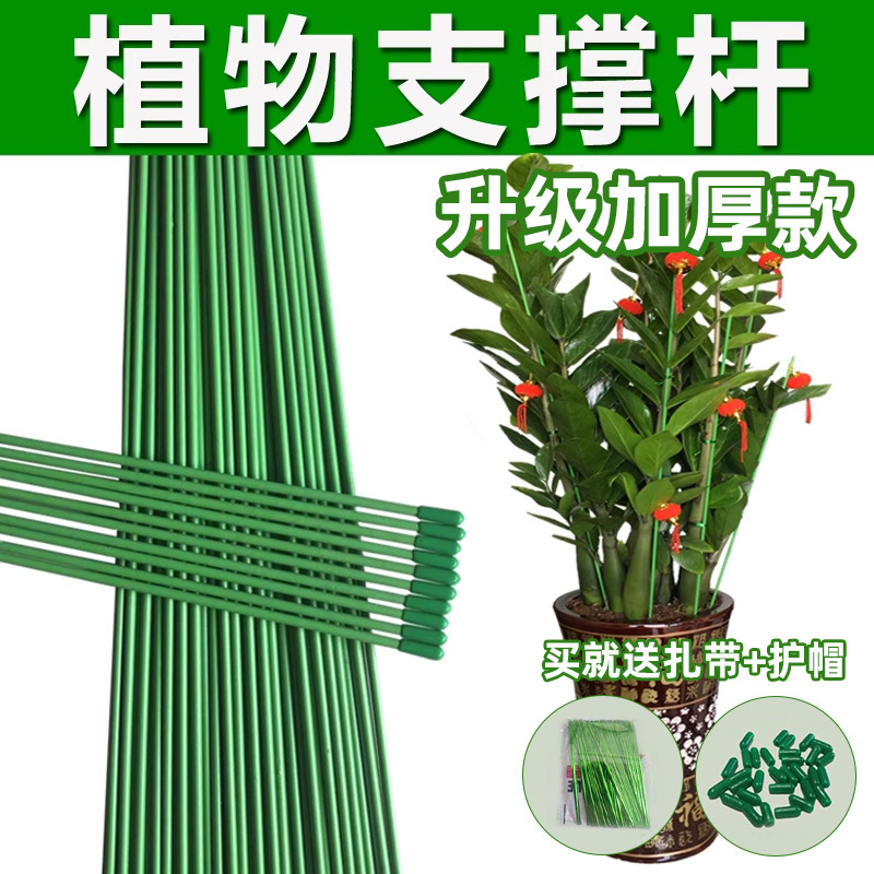 Money Tree Support Rod Anti-Fall Gardening Flower Stand Orchid Plant Fixer Plant Stake Fixing Rod Climbing Plant Trellis Money Tree Support Rod Anti-Fall Gardening Flower Stand Orchid Plant Fixer Plant Stake Fixing Rod Climbing Plant Trellis