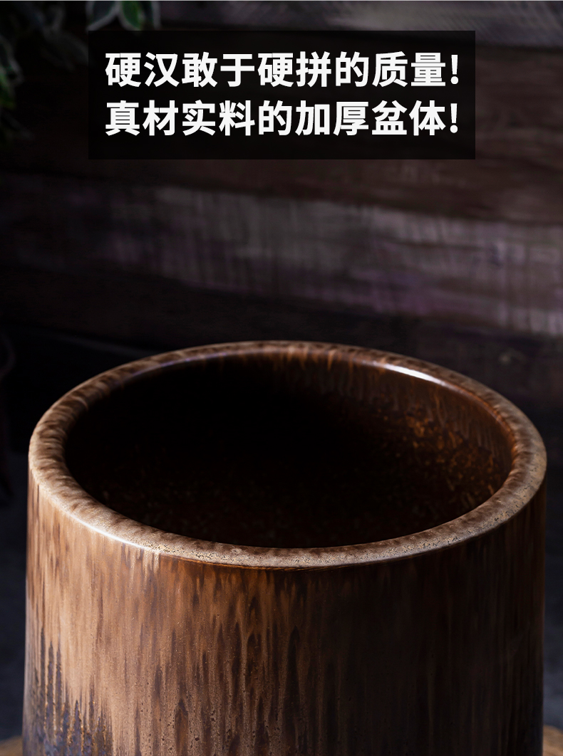 Wide expressions using ground flowerpot ceramic household creative green plant adornment scene in the sitting room decorate restoring ancient ways is rich tree furnishing articles