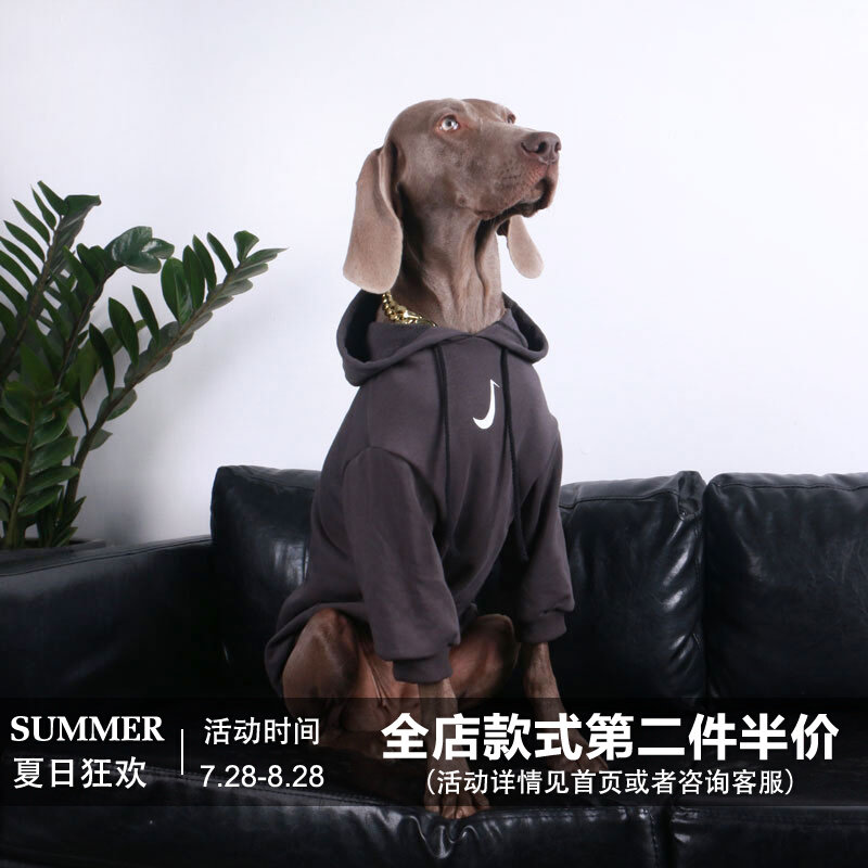 Big Dogs Clothes Tide Cards Pets Clothes Spring Autumn Large Canine Labrador Gold Hair Handsome and Thin Clothes summer