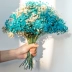 Gypsophila bó hoa khô trang trí phòng khách bình hoa cắm hoa trang trí nhà để bàn trang trí tự nhiên hoa bất tử bó hoa bất tử - Vase / Bồn hoa & Kệ