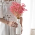 ins Bắc Âu tối giản khô hoa bình trắng phòng khách hiện đại gypsophila sắp xếp hoa trang trí máy tính để bàn gốm - Vase / Bồn hoa & Kệ