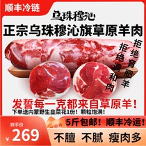 Authentic mutton rolls in Dongwu Banner Inner Mongolia fresh hot pot whole tube slices of fat lamb Xilin Gol Grassland