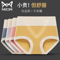 Cat person 4 High waist Modale briefs Women graphene Thin Strips Breathable Lady Loose big code Triangle pants