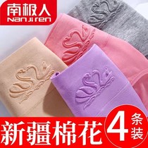 Antarctic National Peoples Congress Underpants female pure cotton grown-up lady with high waist and breathable lady in waist and woman triangle pants head