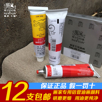 Windsor Newton Oil Painting Paint Tubular 45ml Suit Painters Special Beginners Children Tasteless Fine Art Painting