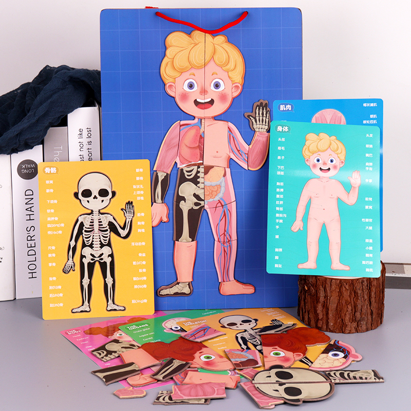 Children's human magnetic jigsaw puzzle baby multifunctional puzzle force development of brain early teaching toy male and female children 3-6-5 5 old