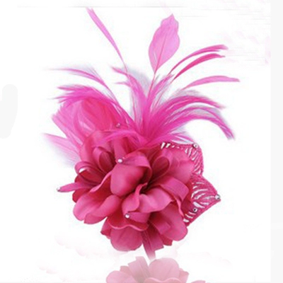 New Korean Feather Brooch Performance Dance Flower Headdress Vải Corsage Host Phù hợp với cô dâu Mang vai phù hợp với hoa - Trâm cài