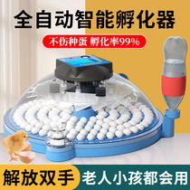 German Small Chicken Incubators Small Home Mini Hatchery Full Automatic Smart Bird Egg Luding Chicken Hatching Egg Box
