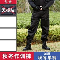 Демисезонные штаны, увеличенная толщина