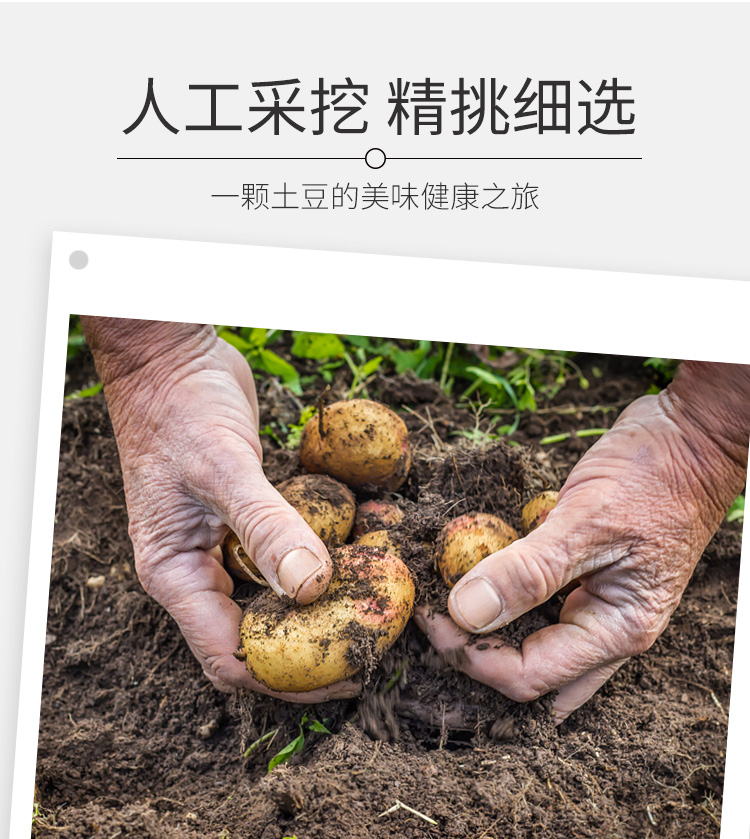 Картофельная деталь_06.jpg