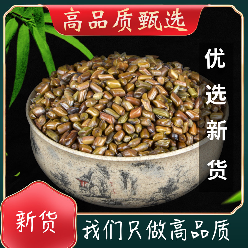 Colleagues raw material fried cassia seed tea cooked cassia seed tea premium bulk sulfur-free buy 1 get 1 free a total of 1000 grams