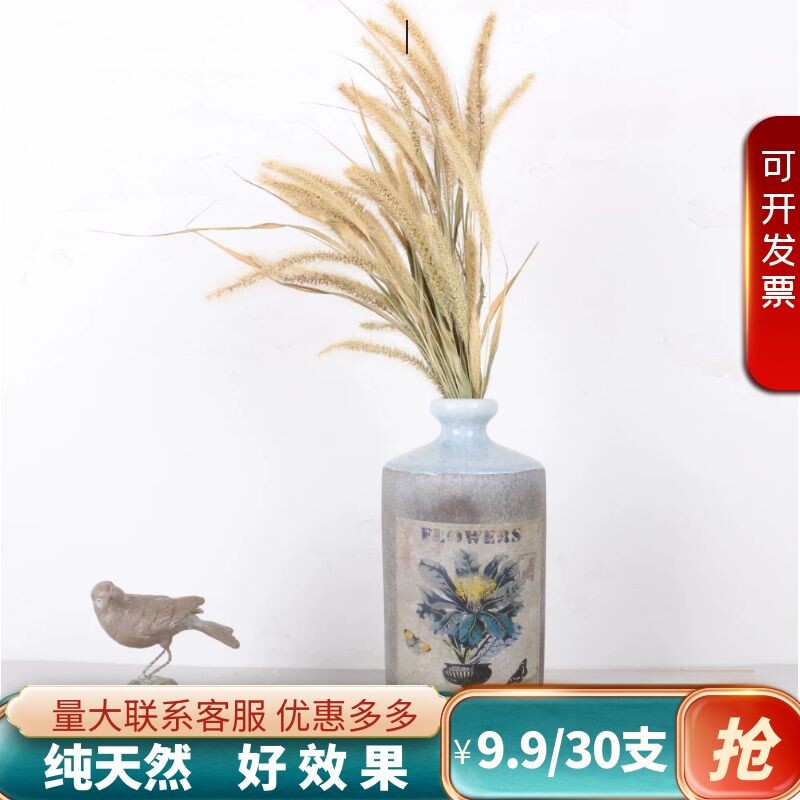 Dry Flower Evergreen Floral Art Decoration Café Shooting Props Fresh Grass Natural Fields Garden Wind Rabbit Tail Dog Tail Grass