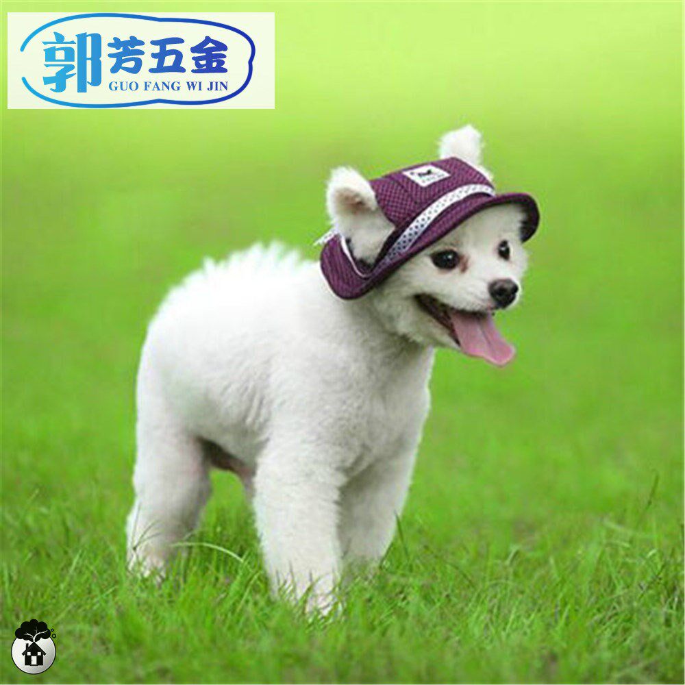 Cute dog hat golden hair Keji Fadou than bear Teddy small, medium and large dog pet hat with exposed ears