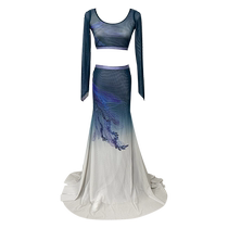 Ye Luoqing dance classical dance Chinese folk dance double-sided two-color long-sleeved peacock Dai dance skirt dance art examination uniform
