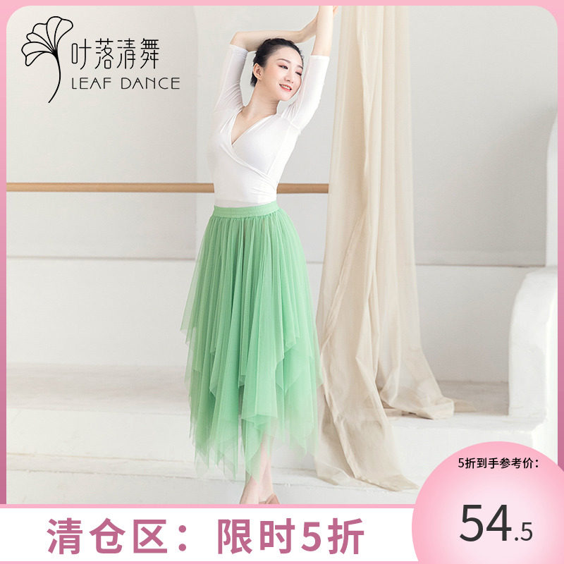 Ye Luoqing dance ballet mesh skirt 2022 new dance drape training clothes skirt half body basic training clothes