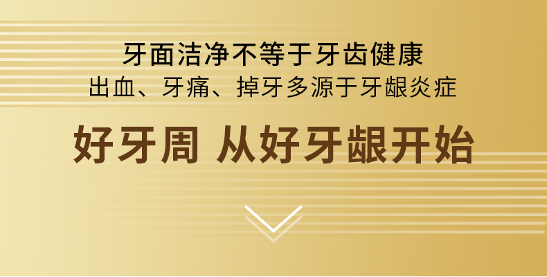 萌盈 日系65孔宽幅软毛牙刷 6支 图2