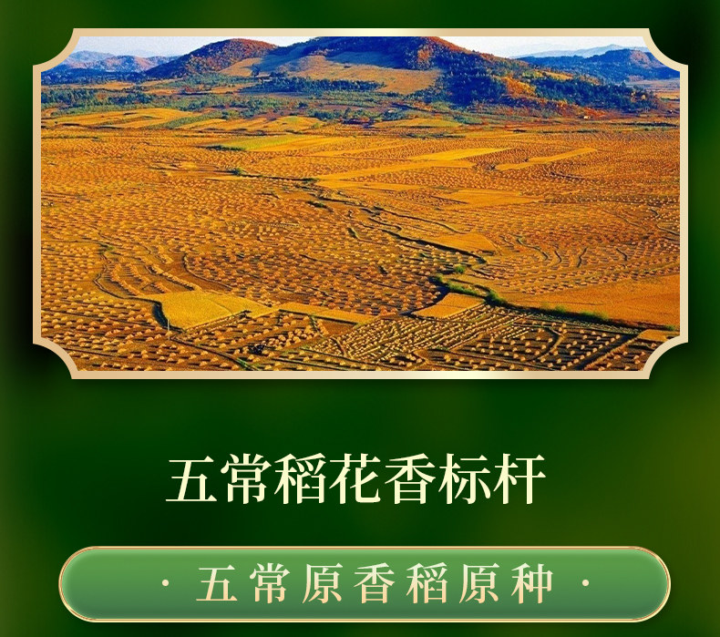 安享好物 安享S级粳米-五米常香有机五常大米 国标 
