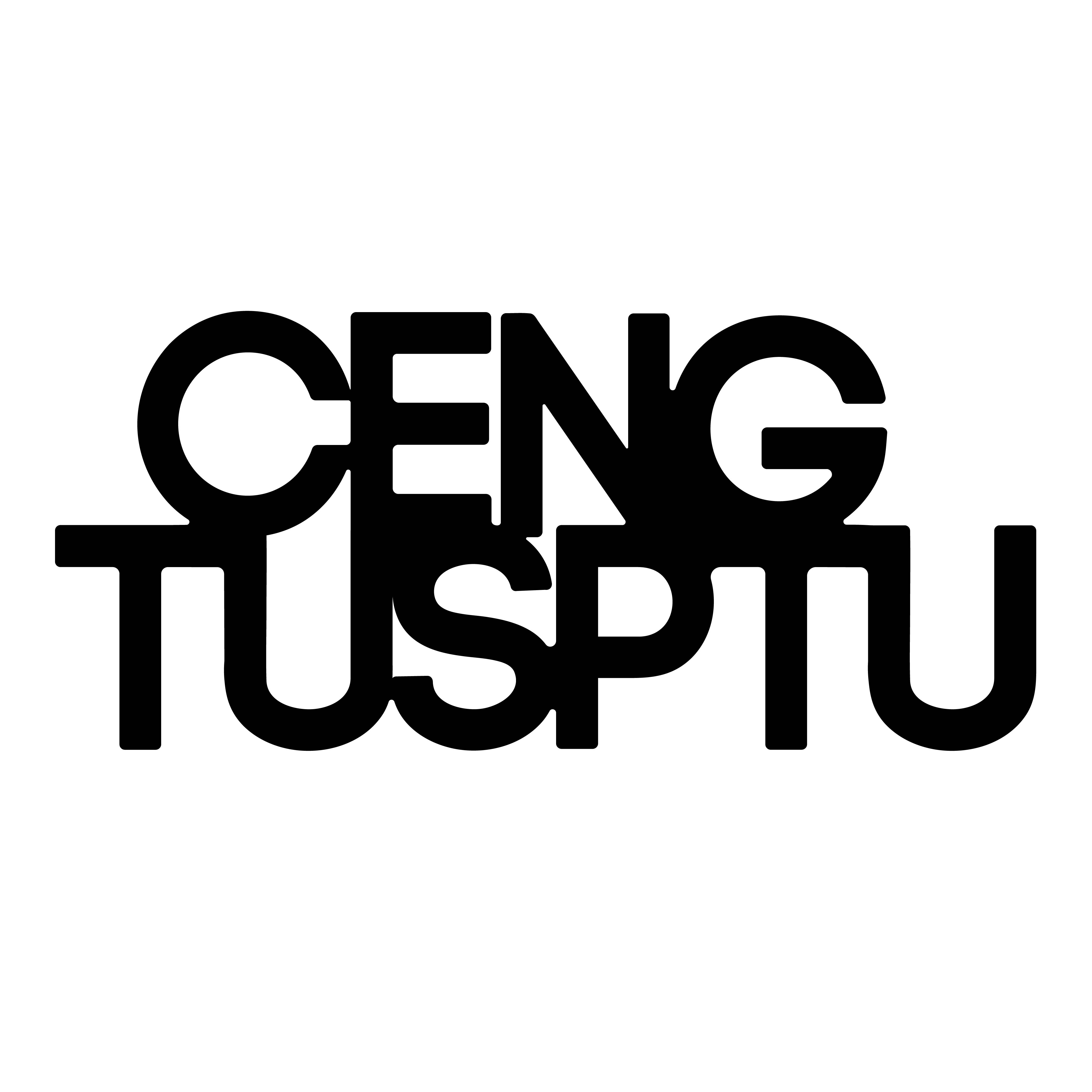 CENGTUSPTU层途