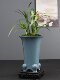 Orchid special flower pot purple sand flower pot ceramic home indoor desktop cliff old pile landscape flower pot red sandalwood