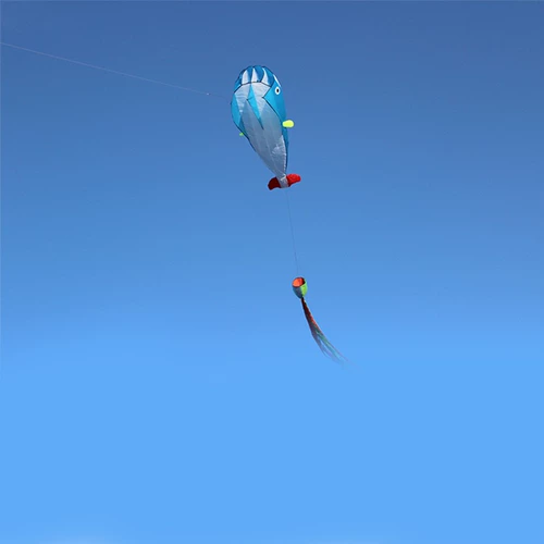 Мультяшный воздушный змей, 2021 года