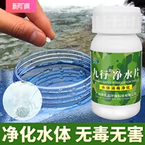 Jiuxing brand chlorine dioxide outdoor life outdoor river water and stream water drinking water purification tablets army effervescent disinfection tablets