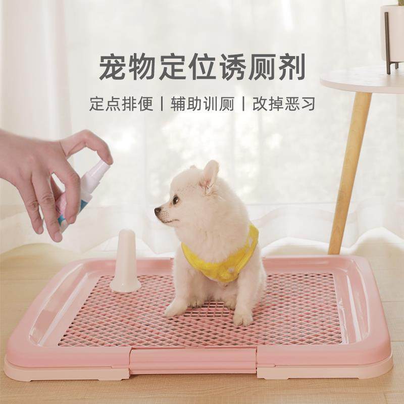 Rabbit Toilet Guide Fixed-Point Urination Urine-Urine-Pulling Poop-Inducing Agent Upper Toilet Urination Urinals Fixed Point Defecation