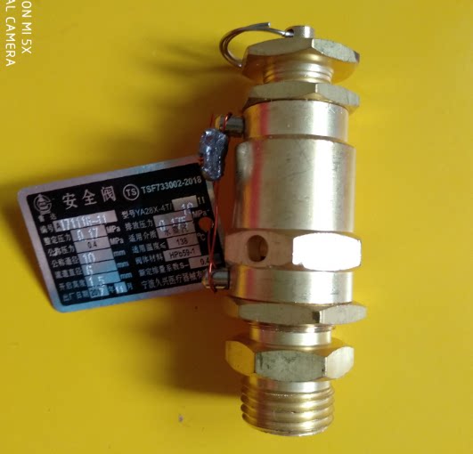 上海申安LDZX-50KBS 75KBS高压蒸汽灭菌器消毒锅配件全启式安全阀