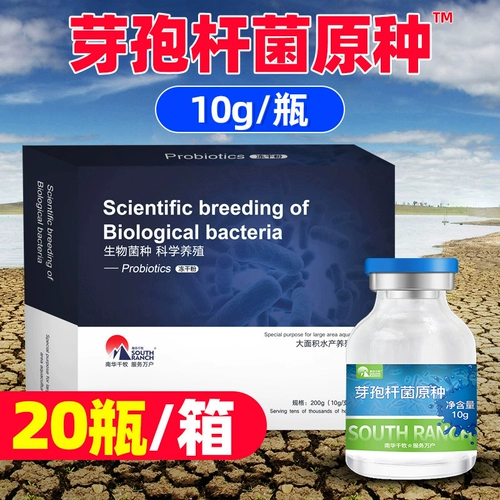 Композитный Bacillus Bacillus Первичная симвонная аквакультура бактерий бактерии рыб пруд, приготовленная вода соль awater соль