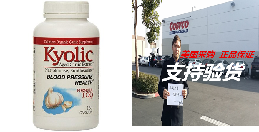 Kyolic Formula 109 Aged Garlic Extract Blood Pressure Healt