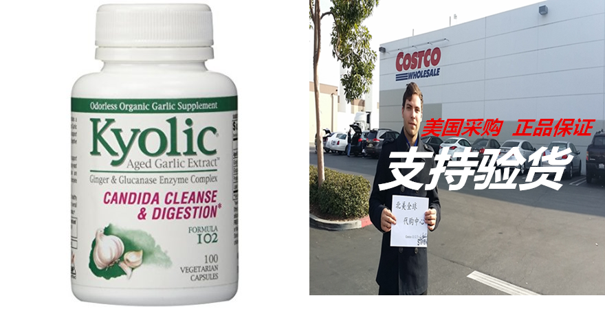 Kyolic Formula 102 Aged Garlic Extract Candida Cleanse and