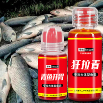 Herring small medicine black pit big material additive fishing Big Fish Bubble beads screw particles corn broad bean peanut