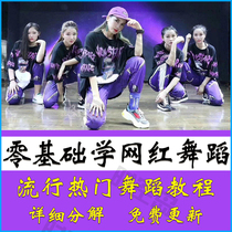 Net Red Dance Tutorial Zero Base Introductory Self-Learning Mirror Decomposition Teaching Shivering Thermal Dance Gesture Dance High Definition Video