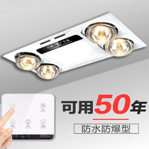 Integrated ceiling bath master 30x60 five-in-one switch heating bath lighting wall mounted toilet waterproof home
