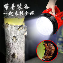 Cicada lamp grabbing Golden Cicada flashlight electric torch charging portable headlight catching monkey tool catching cicada silkworm lamp