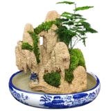 Поднимите доставку воды -поглощающего каменную фальшивую гору бонсай, озеленение натуральное растение.